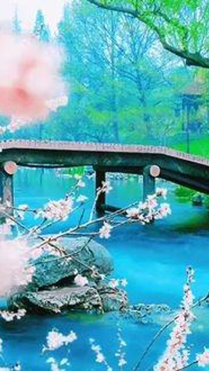 卡通汽车涂颜色